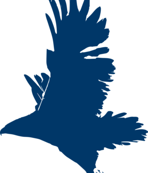 blue falcon icon