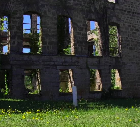 Screen Shot 2023-08-08 at 2.04.49 PM Screen Shot 2023-08-08 at 2.04.49 PM